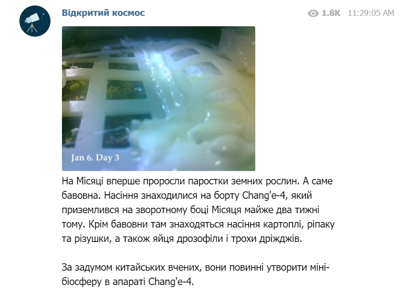 На темній стороні Місяця вчені виростили бавовну